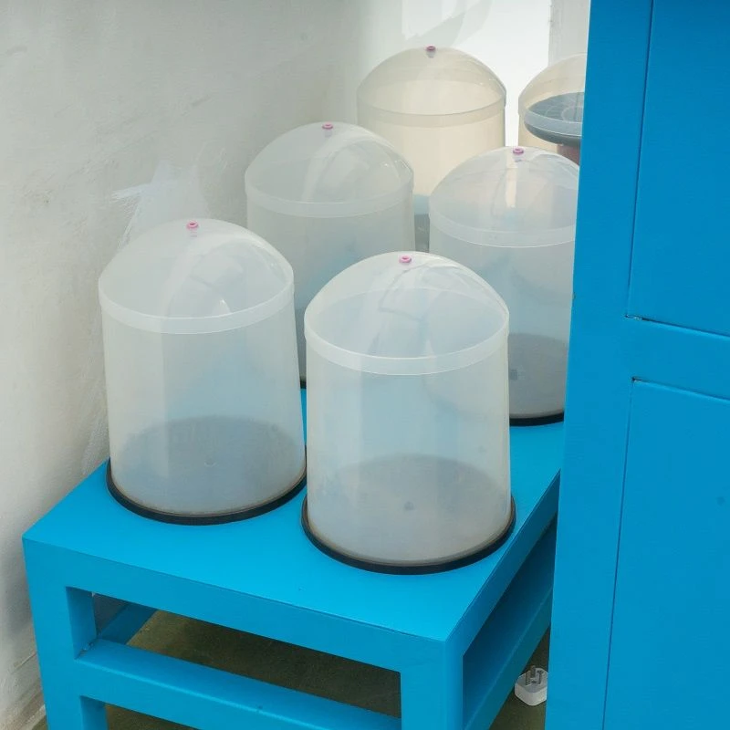 product-800-800